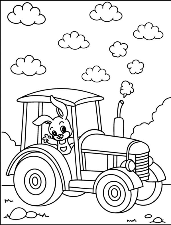 Cute Driving Animals Coloring Pages...PRINTABLES! Digital Download! - Image 2
