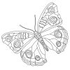 BEAUTIFUL BUTTERFLIES Coloring Book! PRINTABLES/Digital Download... - Image 5