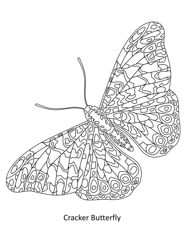 BEAUTIFUL BUTTERFLIES Coloring Book! PRINTABLES/Digital Download... - Image 6