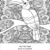 Birds Of A Feather Coloring Pages With QUOTES...Printable - Image 4