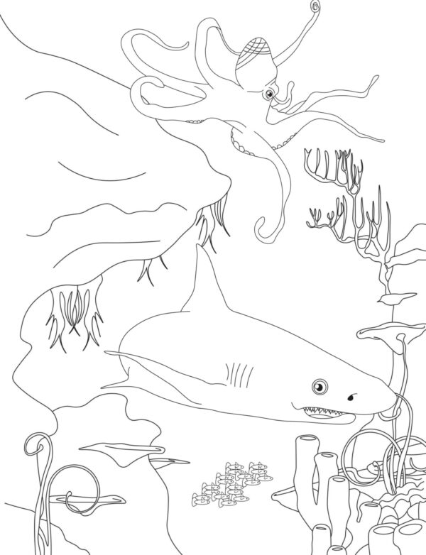 Sea Creatures Coloring & Activities Pages-PRINTABLE - Image 6