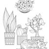Mandala Floral Magic Coloring Pages...PRINTABLE - Image 8