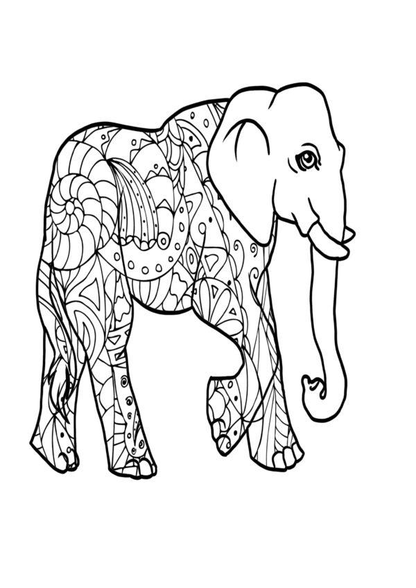 Mandala Line Art Coloring Pages For Adults. PRINTABLE...Digital Download! - Image 5