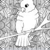 Birds Of A Feather Coloring Pages With QUOTES...Printable - Image 6