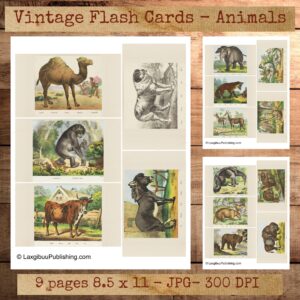 Vintage Flashcards of Animals examples