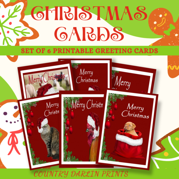 Christmas Cards - Animals