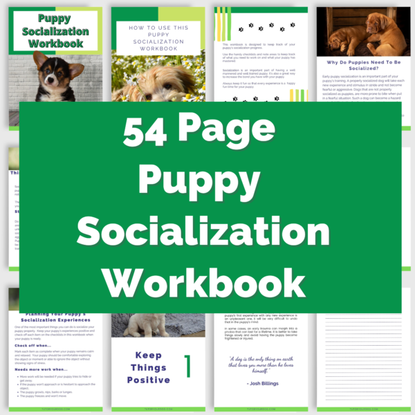 The Ultimate New Puppy Bundle | New Puppy Workbook | Puppy Socialization Workbook | Instant Download | 8.5x11 PDF | Puppy Planning - Image 2