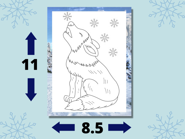 50 Fun and Relaxing Wintertime Digital Coloring Pages for Kids and Adults, Nature Coloring Pack, Northern Animals, Travel Friendly Activity - Image 6