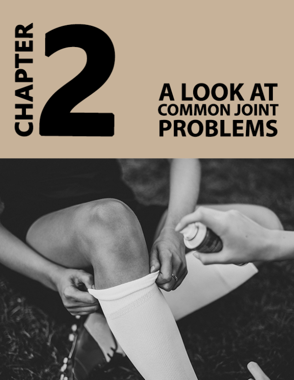 Joint Health 101 / 82 Page Printable Book plus BONUS Checklist - Image 3