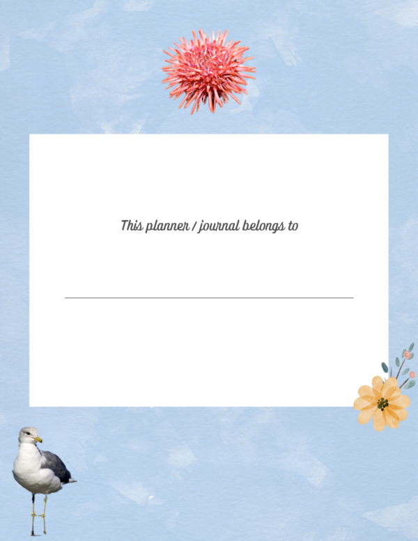 Travel Planner For Memorable Journeys And Vacations - Image 3