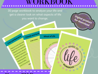 Wheel of Life workbook