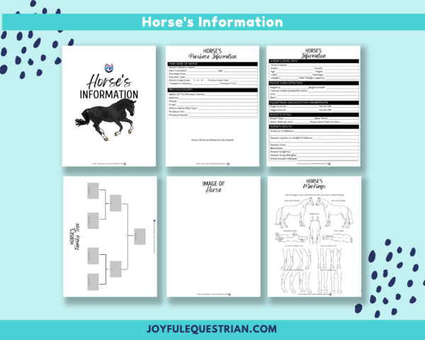 Horse Record Keeping Journal | 70 PDF pages| Horse Owner Journal | Horse Health Records | Black Horse Clipart - Image 5