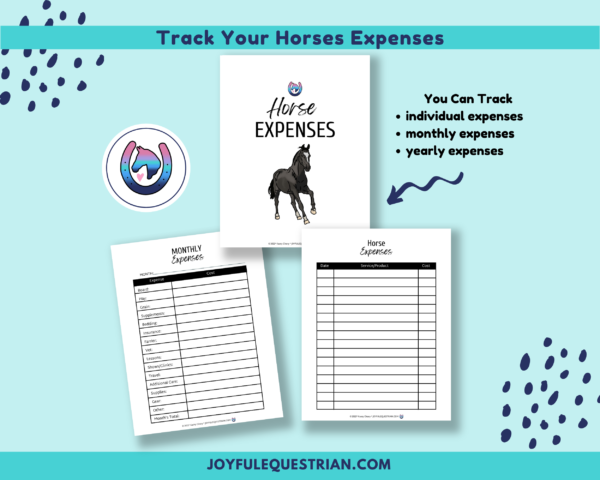 Horse Record Keeping Journal | 70 PDF pages| Horse Owner Journal | Horse Health Records | Black Horse Clipart - Image 4