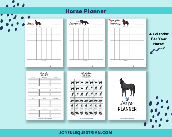 Horse Record Keeping Journal | 70 PDF pages| Horse Owner Journal | Horse Health Records | Black Horse Clipart - Image 2