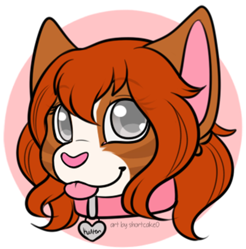 kitten kutz