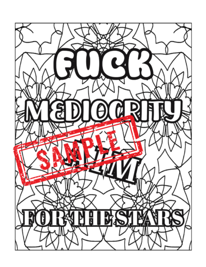 Colorful Crap: Mandalas for When Life's a B*tch/60 !Swear Words Coloring Pages! DIGITAL DOWNLOAD - Image 5