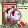 Christmas Cards - Animals - Image 2