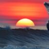 Beautiful Dolphin Bookmarks, Set of 8, Printable - Image 4