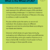 Wheel of Life workbook - Image 4