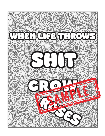 Colorful Crap: Mandalas for When Life's a B*tch/60 !Swear Words Coloring Pages! DIGITAL DOWNLOAD - Image 6