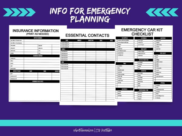 Emergency Planning Worksheets - Image 2