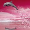 Beautiful Dolphin Bookmarks, Set of 8, Printable - Image 6