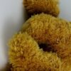Teddy Bear Bookmarks, Set of 8, Printable - Image 6