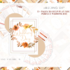 Autumn Red and Fall Green Wedding Planner Printable, Wedding Binder Printable, Wedding Planner Organizer, Wedding Planning Book, Printable Wedding planner Kit - Image 7