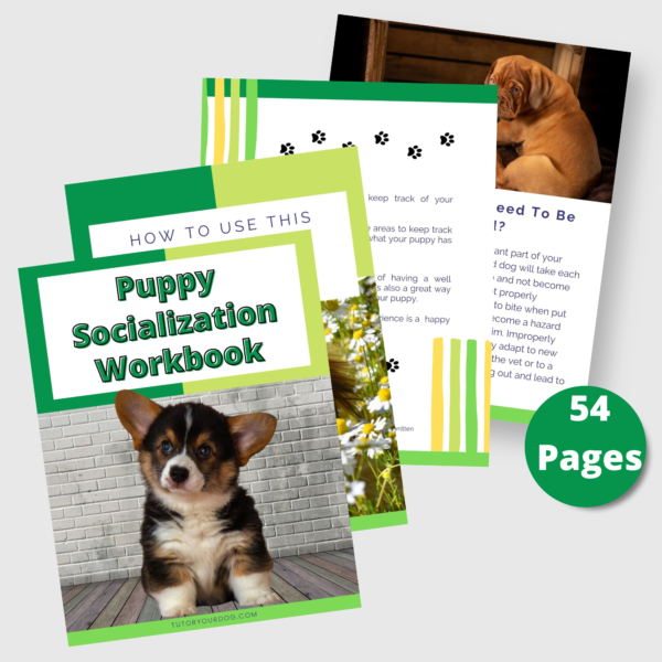 Printable Puppy Socialization Workbook | Puppy Socialization Checklist | Puppy Socialization List | New Puppy Training Planner | Pet Tracker - Image 2