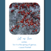 My Winter Bucket List, From Dreaming To Doing, A PLR Workbook - Image 9