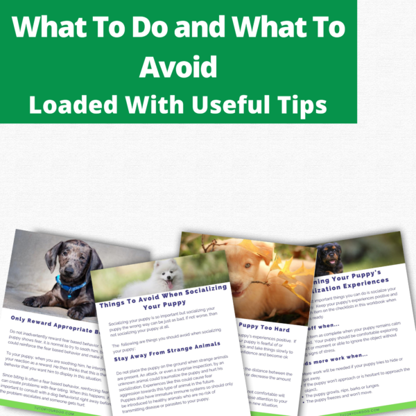Printable Puppy Socialization Workbook | Puppy Socialization Checklist | Puppy Socialization List | New Puppy Training Planner | Pet Tracker - Image 3