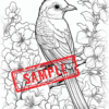 Wings and Blooms: A Bird and Flower Coloring Journey-DIGITAL DOWNLOAD! - Image 4