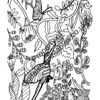 Animals Coloring Pages - Image 5