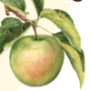 Hobby Farm Sustainability Ebook bundle - Image 8