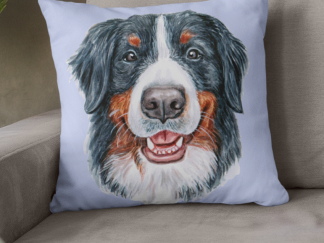 Bernese Mountain Dog