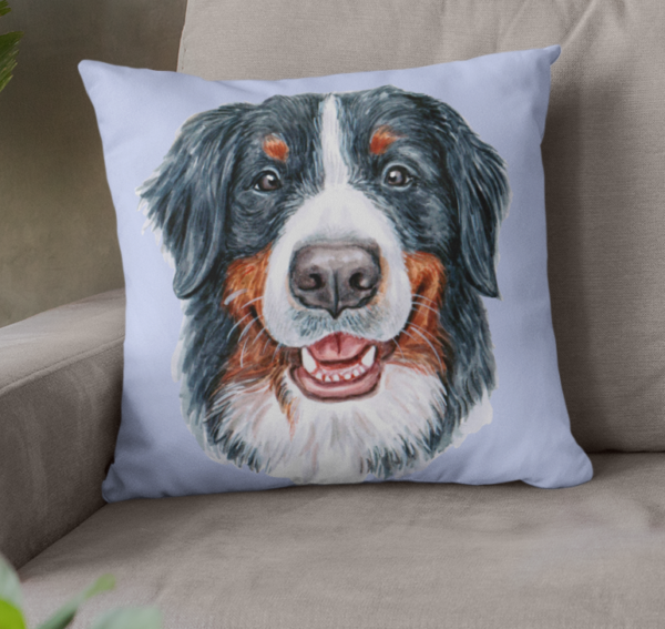 Bernese Mountain Dog