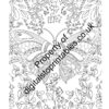 Butterflies Coloring Pages in reprintable pdf format - Image 5