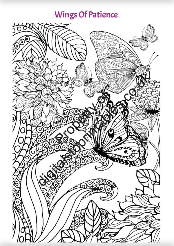 Butterflies Coloring Pages in reprintable pdf format - Image 6