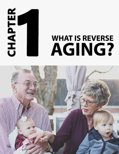 Reverse Aging / 81 Page Printable Book Plus Bonus Checklist - Image 3