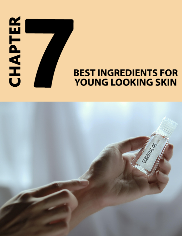 Reverse Aging / 81 Page Printable Book Plus Bonus Checklist - Image 9