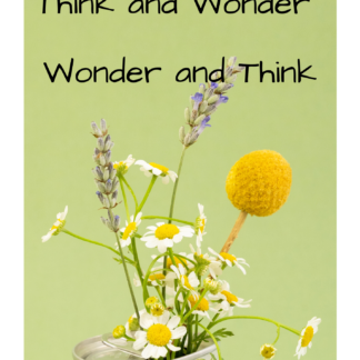 Think and wonder