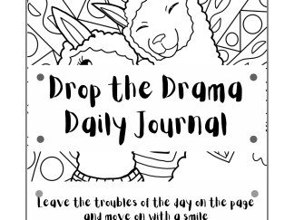 Drop the Drama Daily Journal