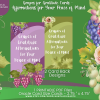 PRINTABLE CARD Deck - Downloadable | Grapes of Gratitude Affirmation Cards - Tarot Sized Cards 2.75 x 4.75 - US Letter Digital - 24 Cards - Image 2