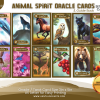 PLR ANIMAL Spirit Oracle CARD Deck Kit - 40 Tarot Sized Cards, 46 page Guidebook, 40 Mini-Stickers, Etsy Listing, Images - Image 7