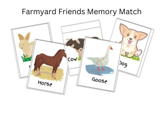 Farmyard Friends Memory Match