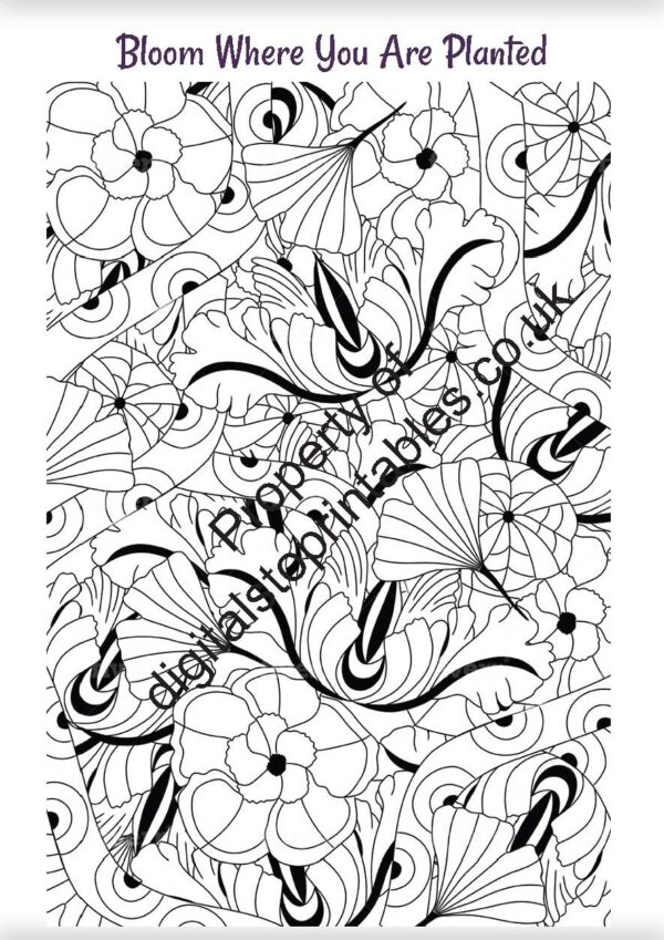 Flowers Coloring Pages in reprintable pdf format - Image 4