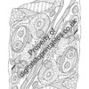 Food Coloring Pages in reprintable pdf format - Image 6