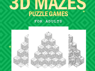 3D Medium Maze Front Cover