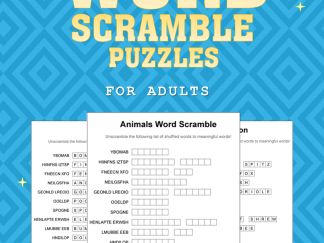 word scramble front cover