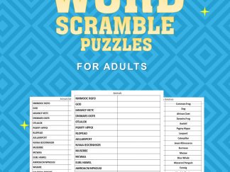 Word Scramble #2 front cover